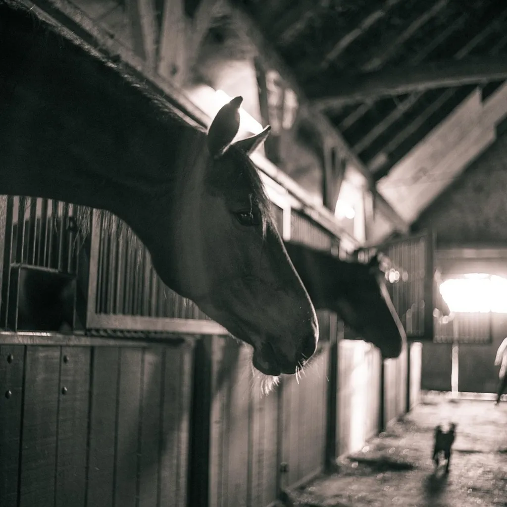 Проект The Box in the Barn: как построить автономный дом внутри старого амбара